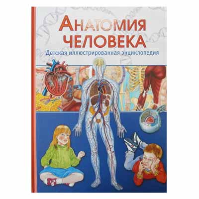 ANATOMIA HUMANA. IL·LUSTRAT PER A NENS