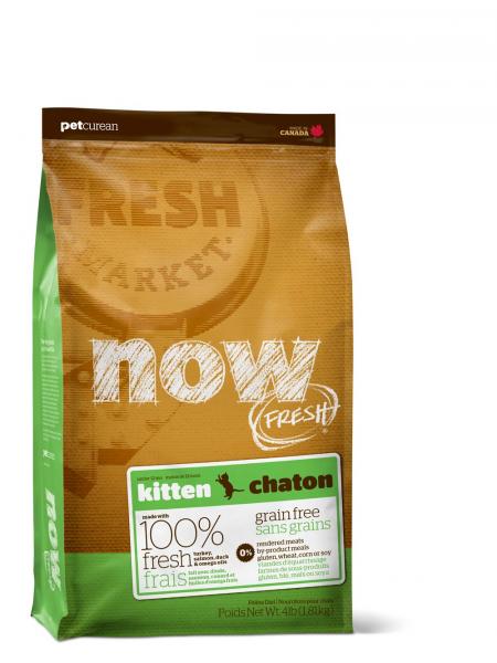 Receita de gatinho grátis holística Natural grão fresco livre