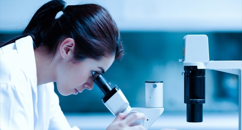 escolliu un microscopi