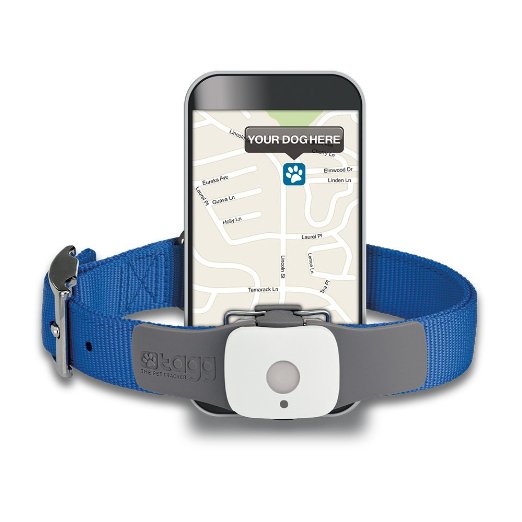 Tagg O Pet Tracker