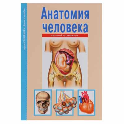 AFONKIN, ANATOMIA HUMANA, GUIA ESCOLAR