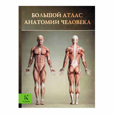 GRANS ATLAS D'ANATOMIA HUMANA, VINSE PERES