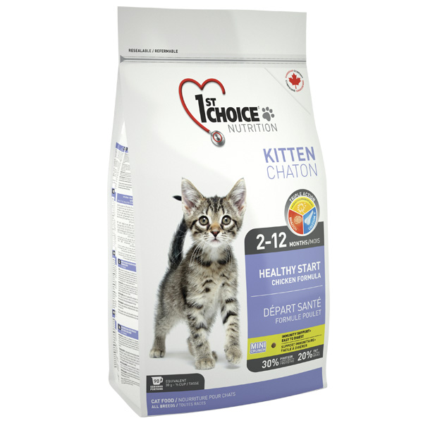 1ª escolha para gatinhos de galinha