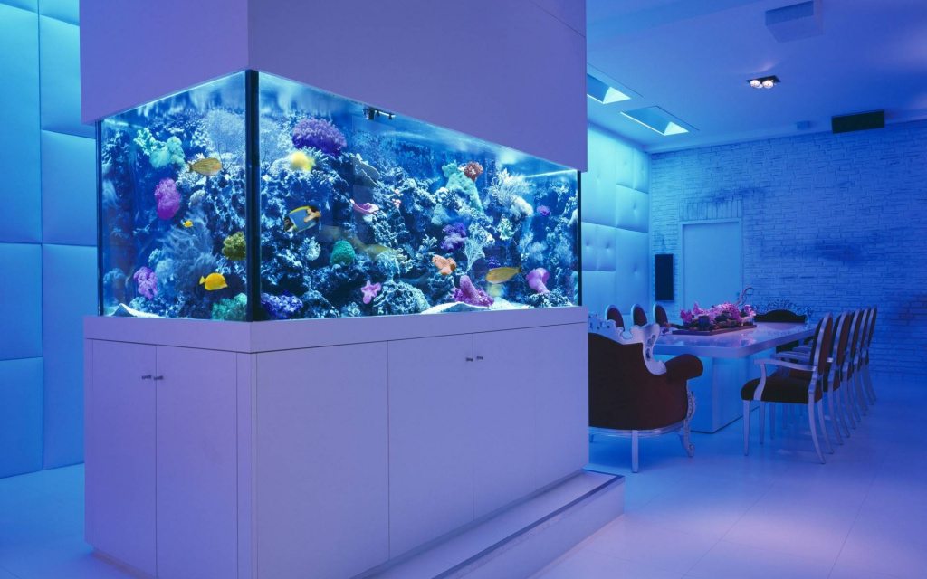 escolliu un filtre per a l’aquari