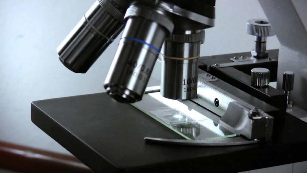 seleccionem un microscopi segons les característiques