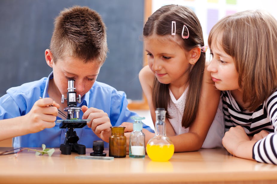 criteris de selecció del microscopi