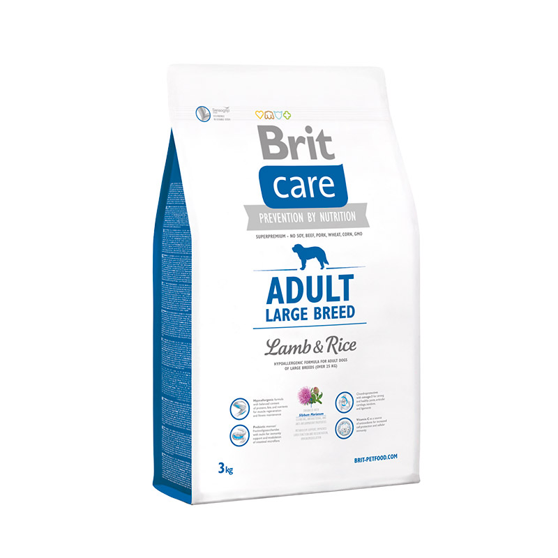 Brit Bakımı Yetişkin Büyük Cins