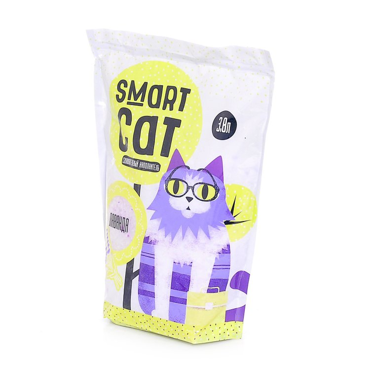 Gato esperto