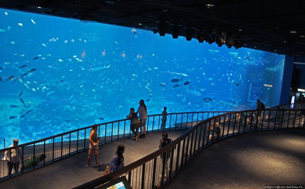 Sea Aquarium