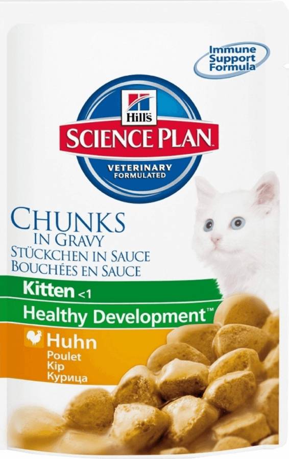 KANALŲ KANALAI SU KANALIAMS SU CHICKEN.jpg