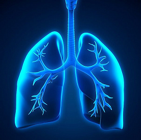 11 beste remedies voor bronchitis