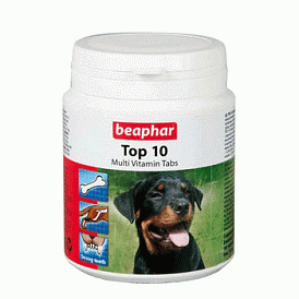 18 geriausių vitaminų šunims